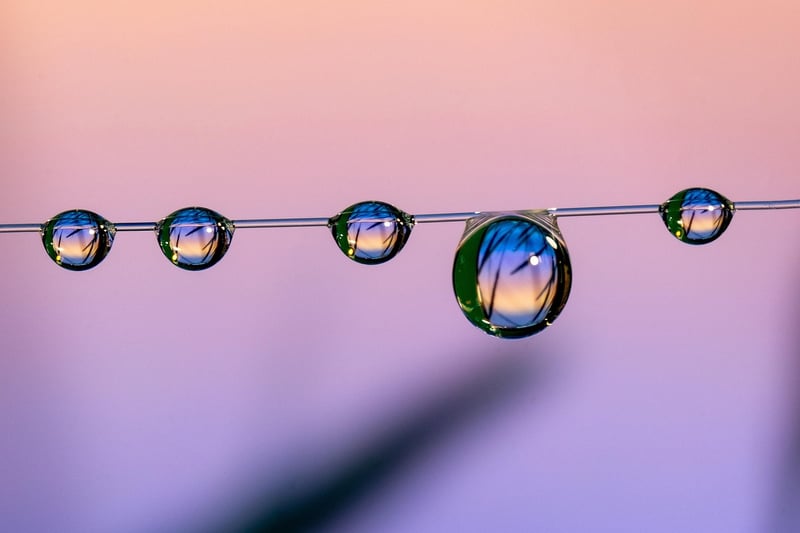 Sustainable Home Accents